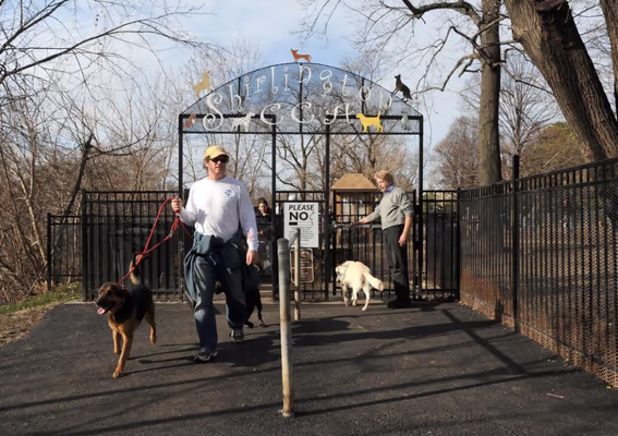Dog Park at Arlington Park photo 2